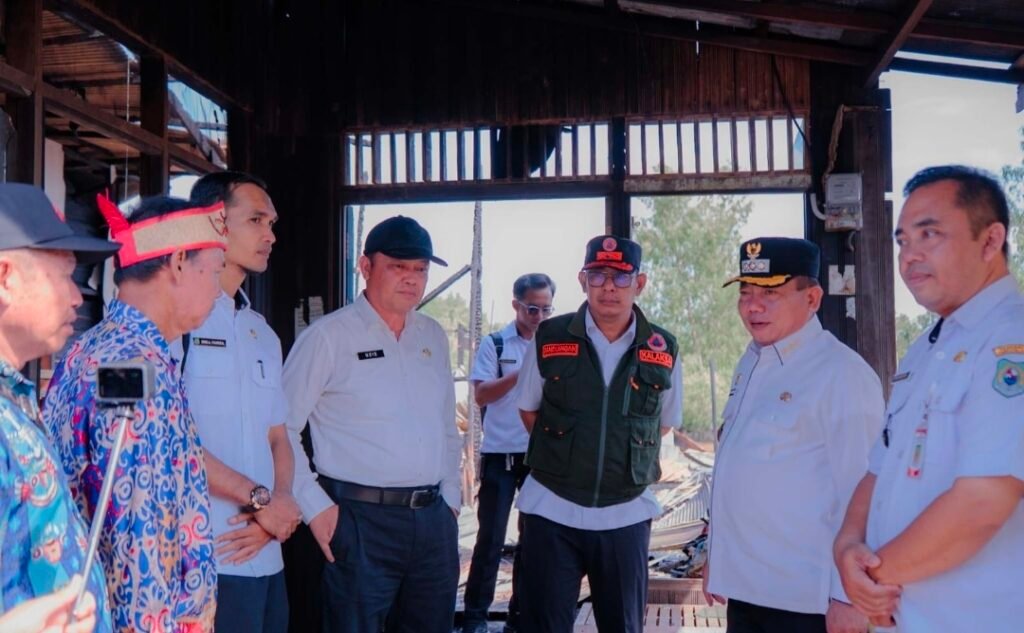 WhatsApp Image 2026 04 01 at 16.55.41