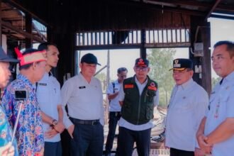 WhatsApp Image 2026 04 01 at 16.55.41