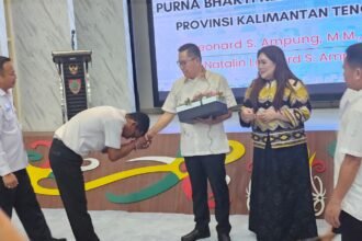 WhatsApp Image 2026 04 01 at 17.50.34