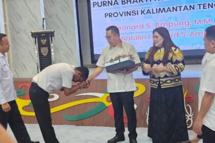 WhatsApp Image 2026 04 01 at 17.50.34