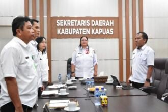 WhatsApp Image 2026 04 01 at 19.18.09