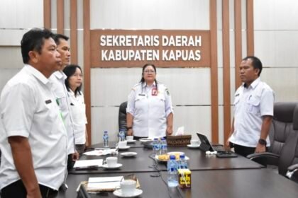 WhatsApp Image 2026 04 01 at 19.18.09