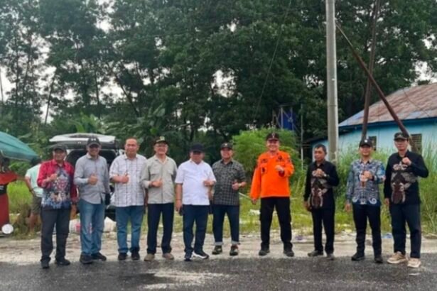 WhatsApp Image 2026 04 02 at 16.31.33