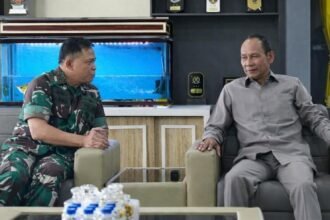 WhatsApp Image 2026 04 08 at 19.33.07