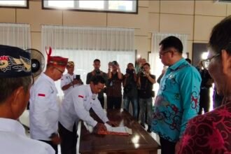 WhatsApp Image 2026 04 10 at 21.21.46