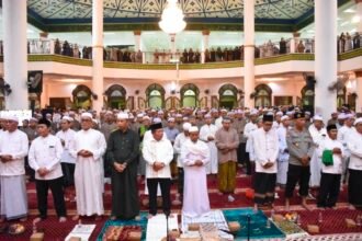 WhatsApp Image 2026 04 13 at 08.31.11