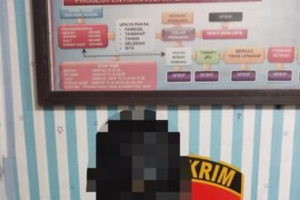 WhatsApp Image 2026 04 17 at 17.27.36