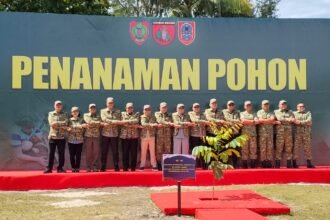 WhatsApp Image 2026 04 17 at 19.49.34