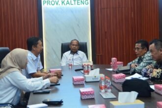 WhatsApp Image 2026 04 30 at 20.14.42