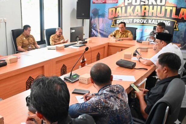 WhatsApp Image 2026 05 05 at 17.15.43