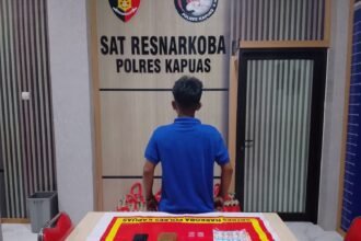 IMG 20260609 WA0006