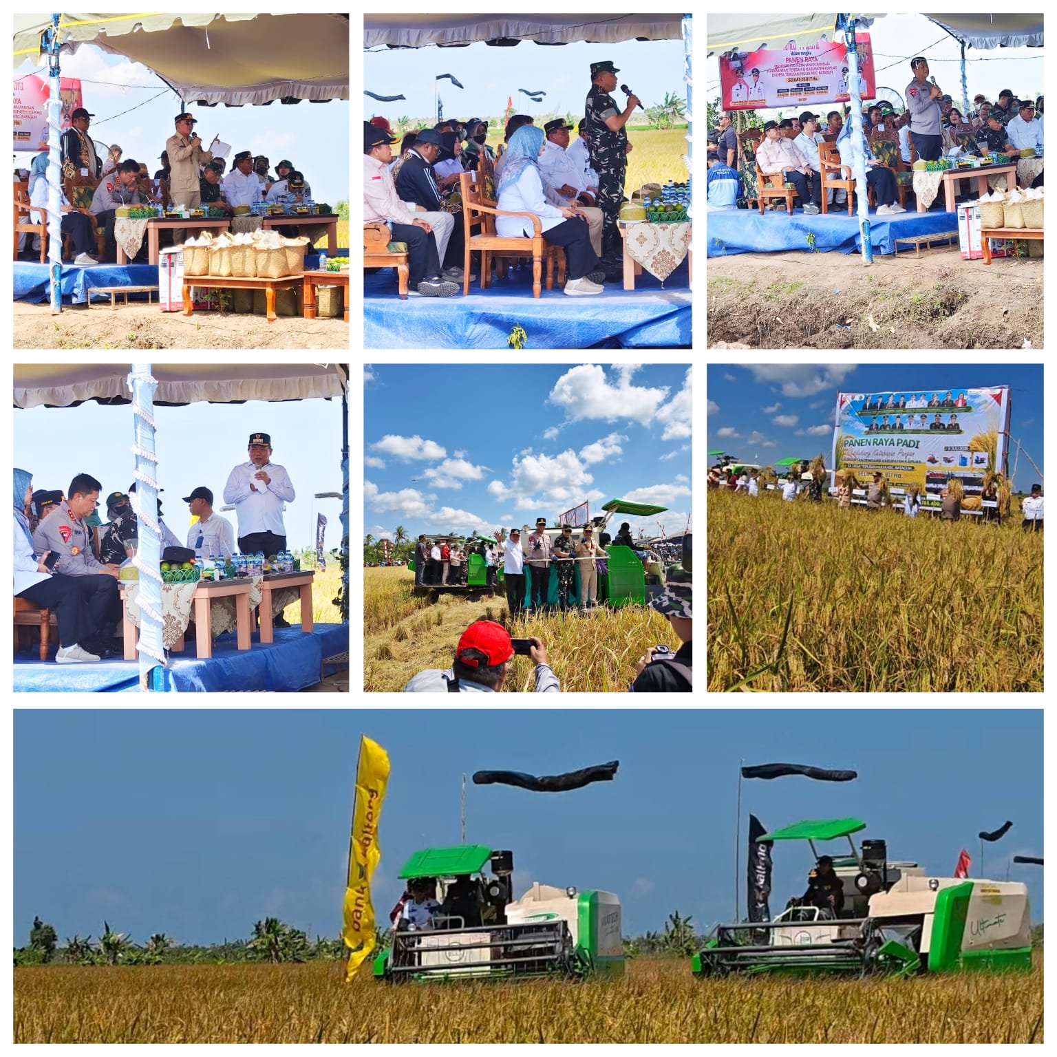 Panen Raya Kapuas. Gubernur Minta Perbankan Jemput Bola Bantu Pembiayaan Petani