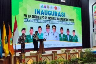WhatsApp Image 2026 08 07 at 19.27.55