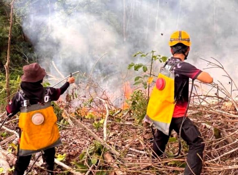 TRC BPBD Barito Utara Padamkan Karhutla di Kelurahan Jambu